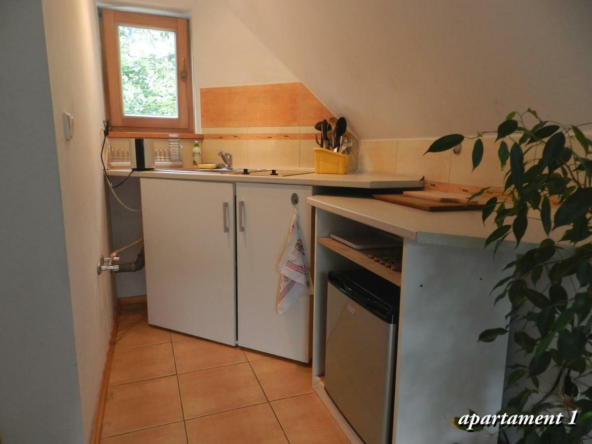 Apartamencik Z Widokiem Na Giewont Zakopane Exterior foto